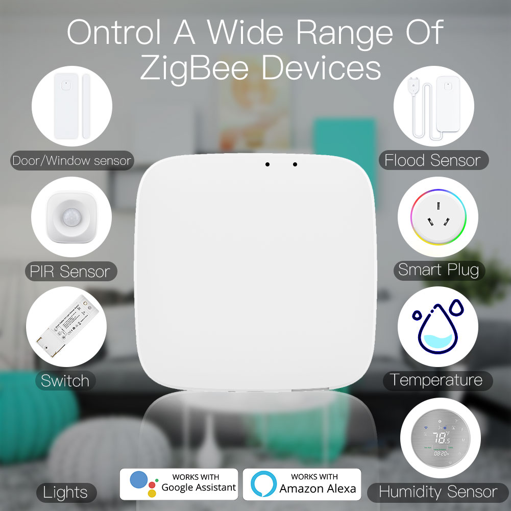 Router-Zigbee-3.jpg